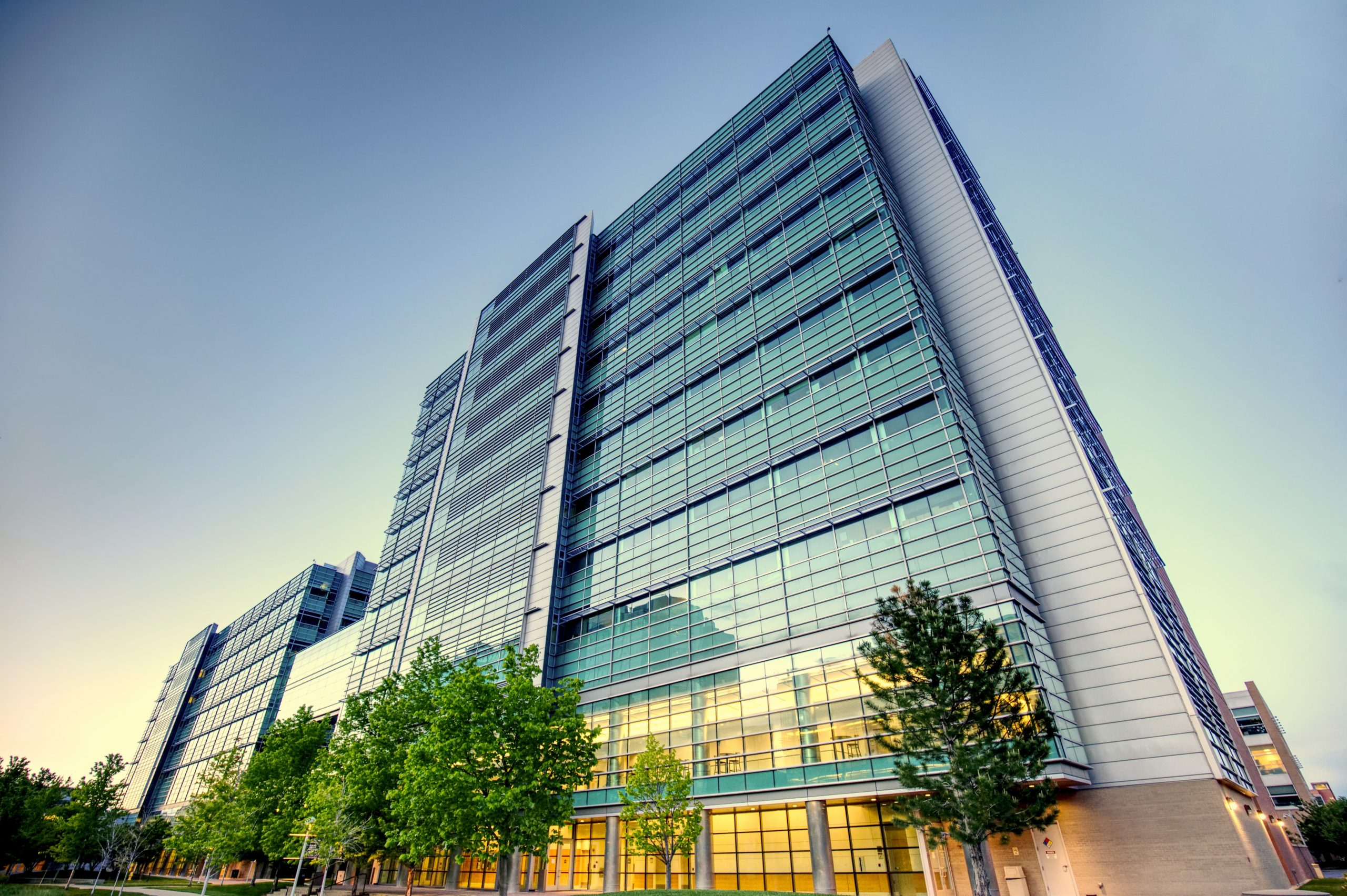 High & low frequency