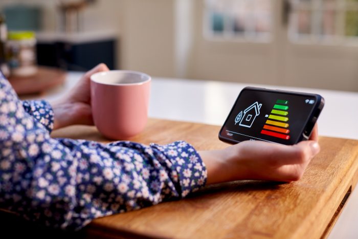 Close Up Woman Holding Smart Energy Meter In Kitchen